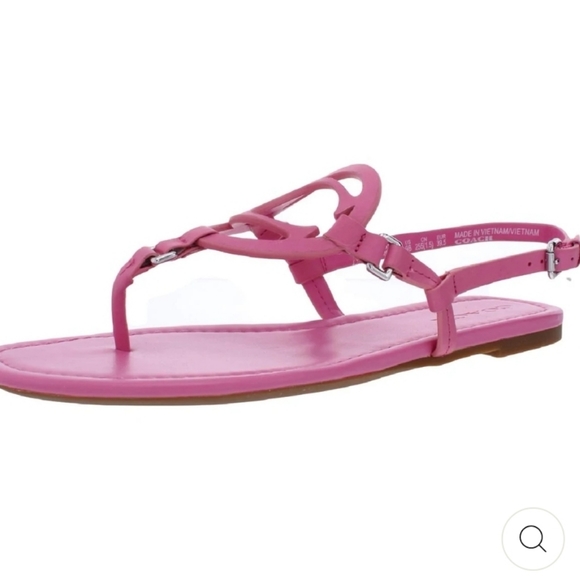 Coach Thong Style Sandal - Picture 1 of 6